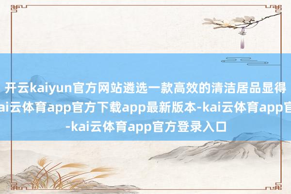 开云kaiyun官方网站遴选一款高效的清洁居品显得尤为蹙迫-kai云体育app官方下载app最新版本-kai云体育app官方登录入口