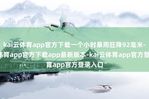 kai云体育app官方下载一个小时暴雨狂降92毫米-kai云体育app官方下载app最新版本-kai云体育app官方登录入口